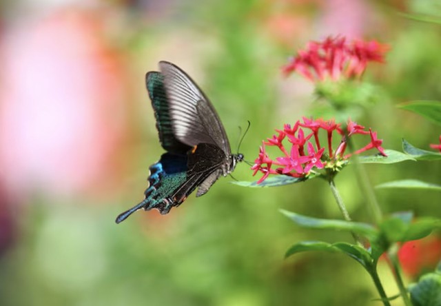 4 khung giờ sinh &Acirc;m lịch b&aacute;o hiệu cuộc đời đủ đầy, về gi&agrave; được hưởng lộc con ch&aacute;u - Ảnh 3.