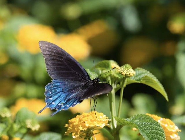 4 khung giờ sinh &Acirc;m lịch b&aacute;o hiệu cuộc đời đủ đầy, về gi&agrave; được hưởng lộc con ch&aacute;u - Ảnh 4.