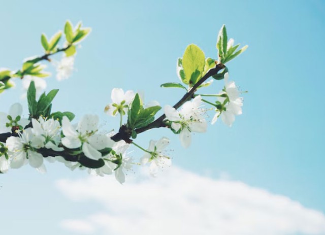 Số cuối ng&agrave;y sinh &Acirc;m lịch h&eacute; lộ tiềm năng của một đứa trẻ: 4 con số dễ l&agrave;m n&ecirc;n nghiệp lớn - Ảnh 3.