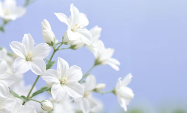 Số cuối ng&agrave;y sinh &Acirc;m lịch h&eacute; lộ tiềm năng của một đứa trẻ: 4 con số dễ l&agrave;m n&ecirc;n nghiệp lớn - Ảnh 4.