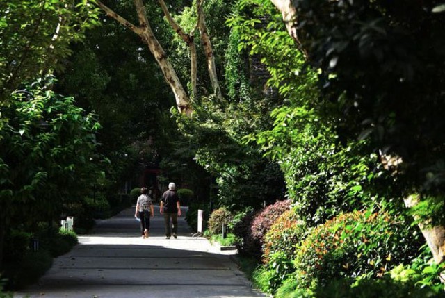 Lương hưu 38 triệu/th&aacute;ng nhưng tuổi gi&agrave; vẫn khổ sở: 3 thay đổi gi&uacute;p t&ocirc;i sống nhẹ nh&otilde;m hơn - Ảnh 1.