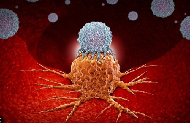 Hẹp bao quy đầu c&oacute; l&agrave;m tăng nguy cơ ung thư dương vật?: Nhiều nam giới đang chủ quan - Ảnh 2.