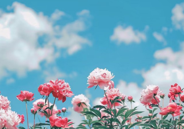 Ng&agrave;y sinh &Acirc;m lịch của người sống t&igrave;nh cảm, ch&acirc;n th&agrave;nh: C&agrave;ng lớn tuổi c&agrave;ng hưởng ph&uacute;c - Ảnh 2.