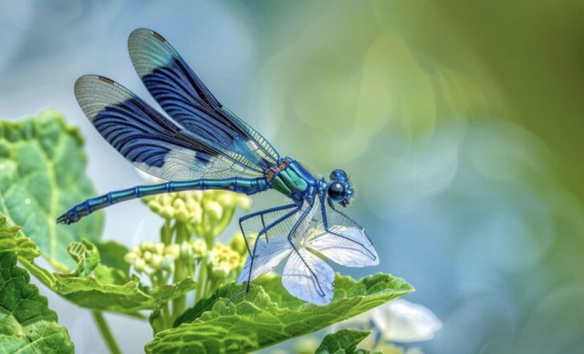 Th&aacute;ng sinh &Acirc;m lịch của người phụ nữ đảm đang, nhiều ph&uacute;c kh&iacute;, nh&agrave; cửa dễ thịnh vượng - Ảnh 3.