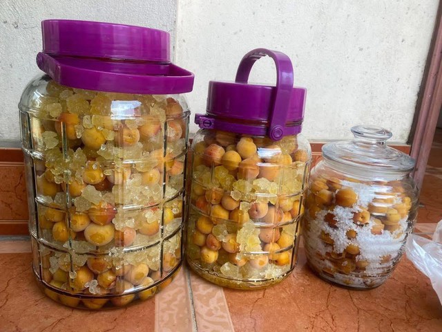 Mùa mơ má đào: Bí quyết ngâm mơ ngon, không nổi váng, giải nhiệt cả mùa hè - Ảnh 6. Mùa mơ má đào: Bí quyết ngâm mơ ngon, không nổi váng, giải nhiệt cả mùa hè - Ảnh 6.