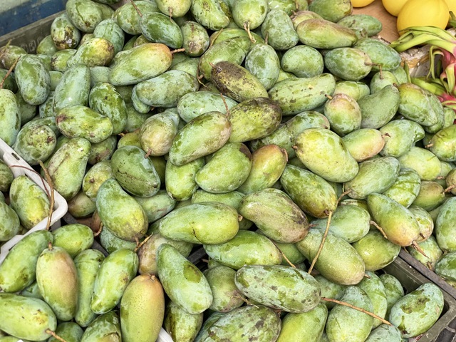 Tiểu thương bật m&iacute; c&aacute;ch chọn loại xo&agrave;i đang &lsquo;l&agrave;m mưa l&agrave;m gi&oacute;&rsquo; thị trường Việt, chuẩn vừa gi&ograve;n vừa ngọt, quả n&agrave;o cũng d&agrave;y thịt, hạt mỏng d&iacute;nh - Ảnh 5.