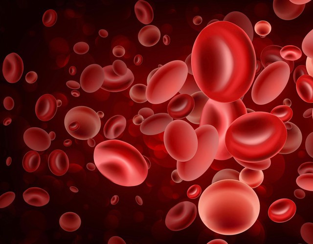 Nam sinh 15 tuổi bất ngờ liệt toàn thân khi chơi thể thao: Nguyên nhân từ 1 bệnh lý hiếm gặp - Ảnh 2. Nam sinh 15 tuổi bất ngờ liệt toàn thân khi chơi thể thao: Nguyên nhân từ 1 bệnh lý hiếm gặp - Ảnh 2.