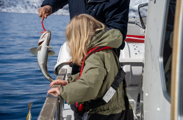 Xu hướng lựa chọn DHA cho trẻ nhỏ: Kh&ocirc;ng chỉ l&agrave; h&agrave;m lượng, m&agrave; l&agrave; chất lượng to&agrave;n diện - Ảnh 1.