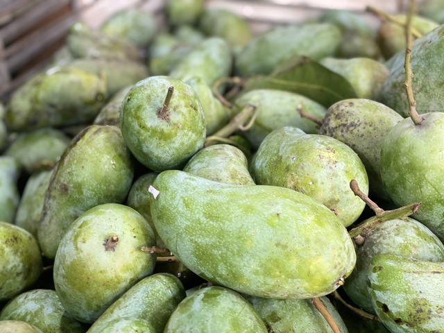 Một loại quả Việt b&aacute;n đầy chợ gi&aacute; rẻ b&egrave;o, xuất khẩu sang nước ngo&agrave;i b&aacute;n đắt như &lsquo;v&agrave;ng&rsquo; - Ảnh 4.