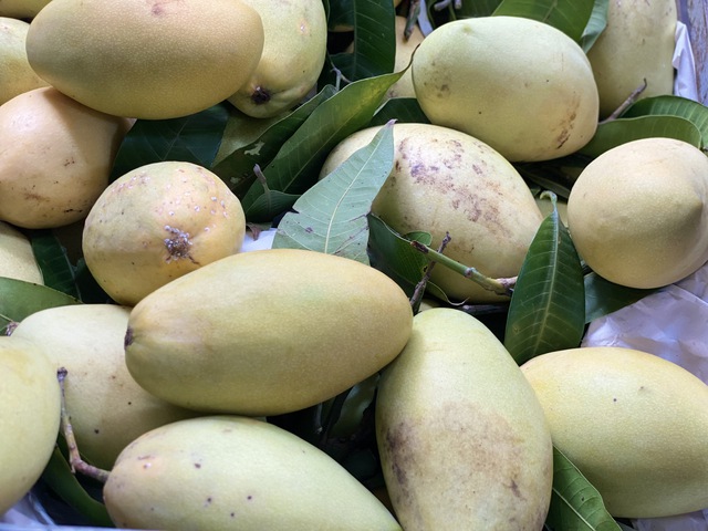 Một loại quả Việt b&aacute;n đầy chợ gi&aacute; rẻ b&egrave;o, xuất khẩu sang nước ngo&agrave;i b&aacute;n đắt như &lsquo;v&agrave;ng&rsquo; - Ảnh 3.