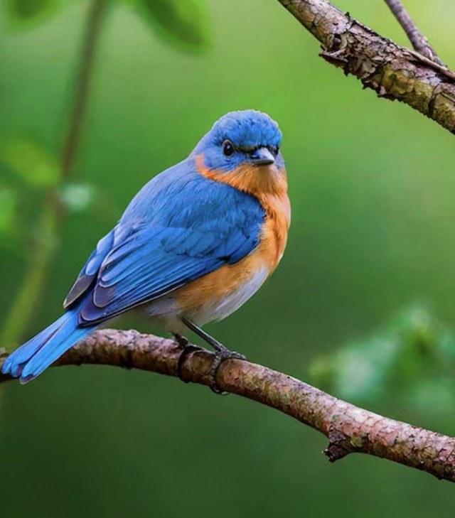 Th&aacute;ng sinh &Acirc;m lịch của người c&oacute; &yacute; ch&iacute; th&eacute;p, dễ đạt th&agrave;nh tựu lớn - Ảnh 2.