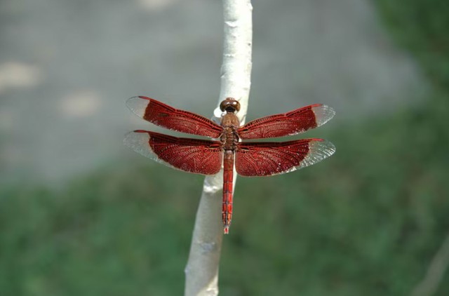 Khung giờ sinh tiết lộ mẫu phụ nữ kh&eacute;o ăn kh&eacute;o n&oacute;i, đi đến đ&acirc;u cũng tạo thiện cảm - Ảnh 2.