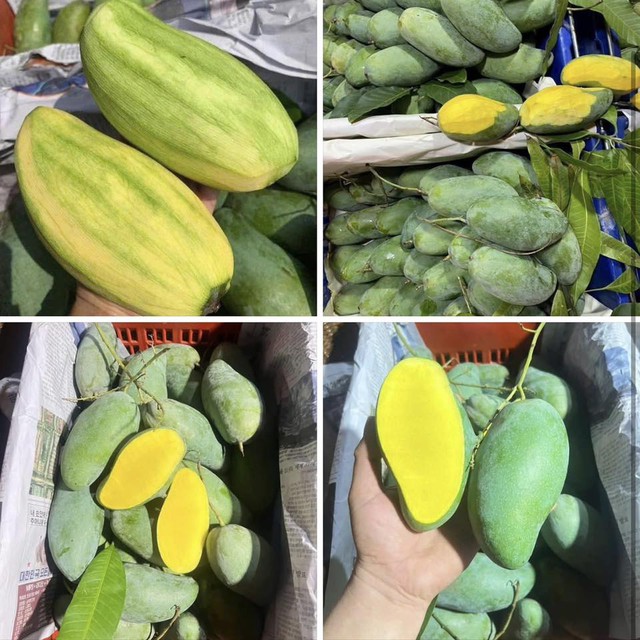 Loại quả Việt đang v&agrave;o m&ugrave;a, b&aacute;n đầy chợ gi&aacute; chỉ hơn chục ngh&igrave;n đồng/kg - Ảnh 3.