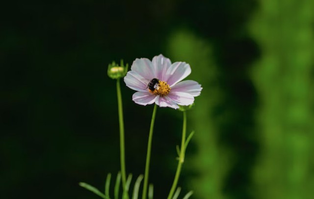 Ng&agrave;y sinh &Acirc;m lịch của người c&oacute; vận số cực tốt, c&agrave;ng về gi&agrave; c&agrave;ng ph&aacute;t t&agrave;i - Ảnh 3.