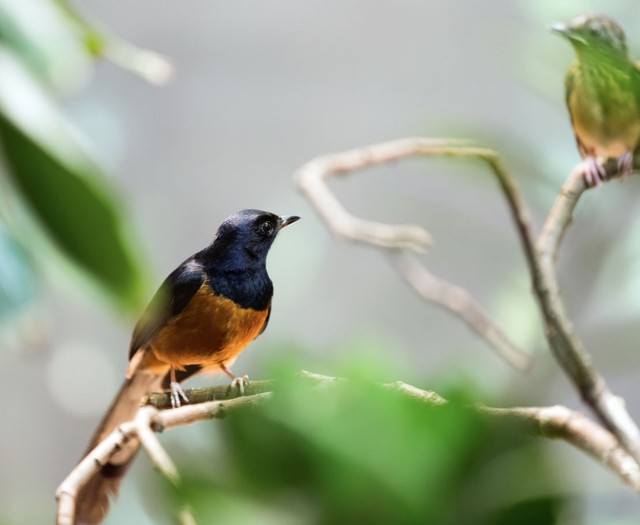 Sinh đ&uacute;ng giờ, đổi đời: Đ&acirc;y l&agrave; giờ sinh ph&uacute; qu&yacute; của từng con gi&aacute;p - Ảnh 1.