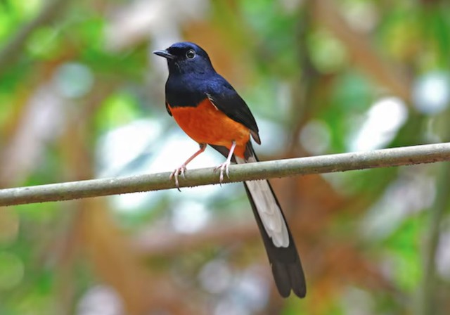 Sinh đ&uacute;ng giờ, đổi đời: Đ&acirc;y l&agrave; giờ sinh ph&uacute; qu&yacute; của từng con gi&aacute;p - Ảnh 2.