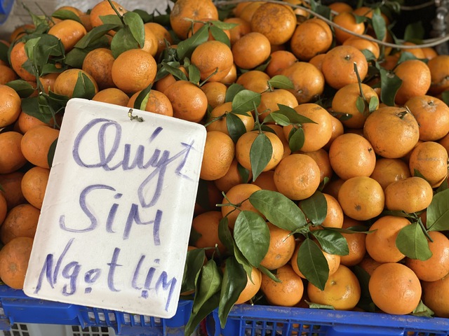 Loại qu&yacute;t r&aacute;m đang b&aacute;n đầy thị trường c&oacute; g&igrave; đặc biệt m&agrave; chiếm được cảm t&igrave;nh của người ti&ecirc;u d&ugrave;ng? - Ảnh 3.