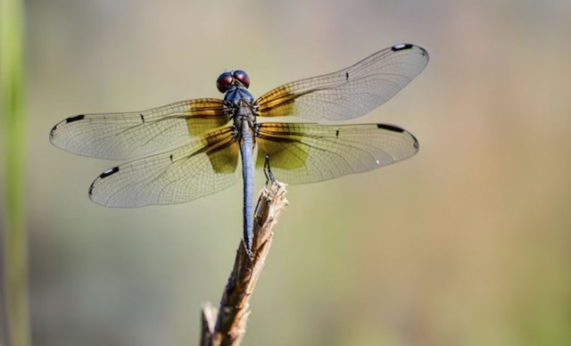 3 khung giờ sinh &Acirc;m lịch của đ&agrave;n &ocirc;ng bị cho l&agrave; "số khổ": C&agrave;ng về sau c&agrave;ng thấm - Ảnh 2.