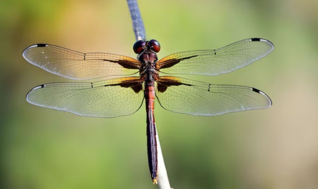 3 khung giờ sinh &Acirc;m lịch của đ&agrave;n &ocirc;ng bị cho l&agrave; "số khổ": C&agrave;ng về sau c&agrave;ng thấm - Ảnh 3.