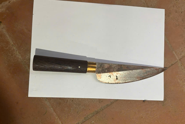 Nguy&ecirc;n nh&acirc;n thanh ni&ecirc;n s&aacute;t hại người phụ nữ bằng nhiều nh&aacute;t dao - Ảnh 2.