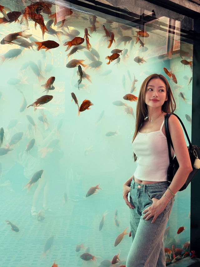 Cuộc sống giản dị, ở nh&agrave; thu&ecirc; tại Mỹ của Trương Tri Tr&uacute;c DIễm - Ảnh 16.