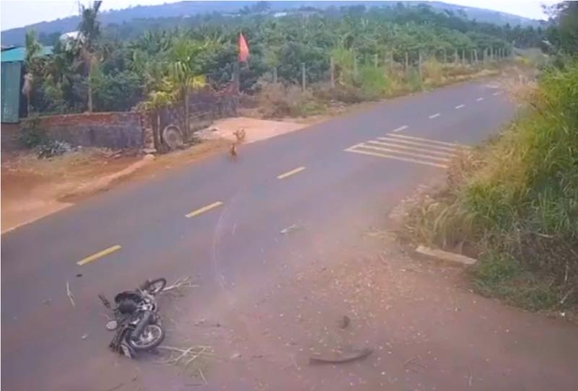 Tin s&aacute;ng 24/1: H&agrave; Nội dự kiến cấm xe m&aacute;y xăng theo giờ tại v&ugrave;ng l&otilde;i Ho&agrave;n Kiếm; nhiều đường bay du lịch ch&aacute;y v&eacute; dịp 30/4-1/5  - Ảnh 5.