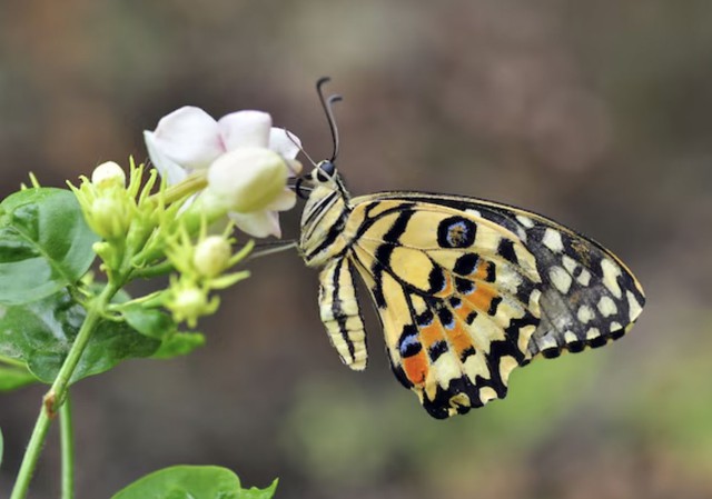 C&agrave;ng kh&oacute; khăn c&agrave;ng bật l&ecirc;n mạnh mẽ: 4 ng&agrave;y sinh &Acirc;m lịch định sẵn hậu vận gi&agrave;u sang - Ảnh 3.