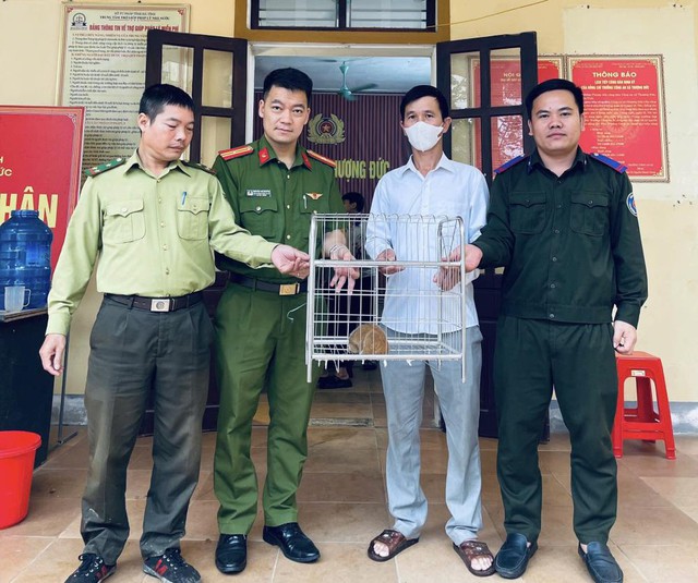 Người d&acirc;n tự nguyện giao nộp nhiều c&aacute; thể động vật qu&yacute; hiếm - Ảnh 1.