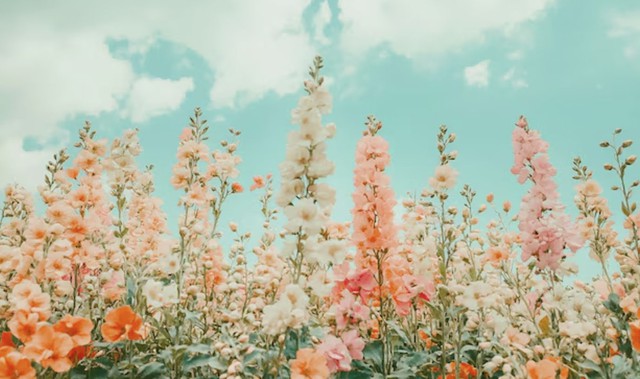 Giờ sinh &Acirc;m lịch 'cầm v&agrave;ng trong tay': Sinh ra đ&atilde; c&oacute; số hưởng lộc - Ảnh 4.