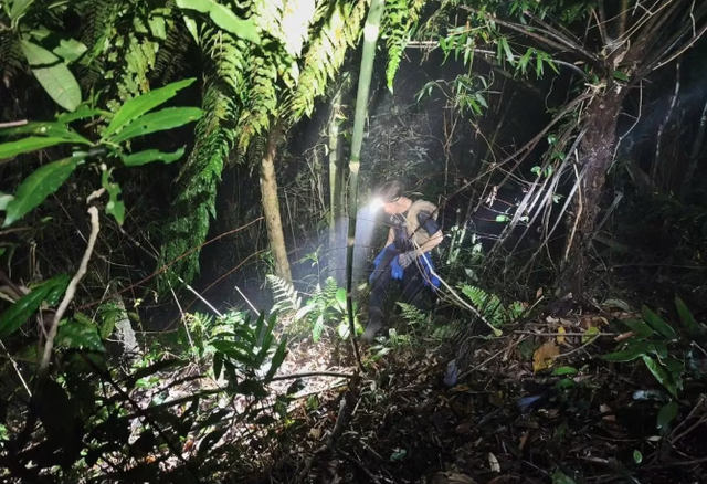 Th&ocirc;ng tin 'gia đ&igrave;nh chi tiền cứu nạn' vụ nam sinh mất t&iacute;ch ở Tam Đảo l&agrave; kh&ocirc;ng đ&uacute;ng sự thật - Ảnh 1.