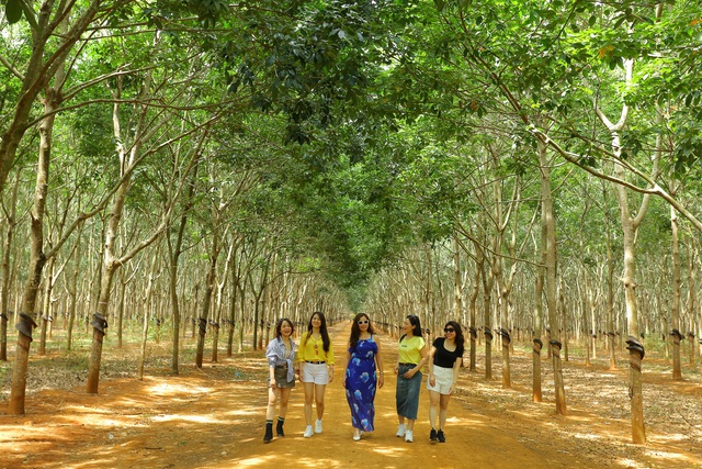 Kinh nghiệm đi du lịch tiết kiệm tiền nhiều lợi &iacute;ch - Ảnh 1.