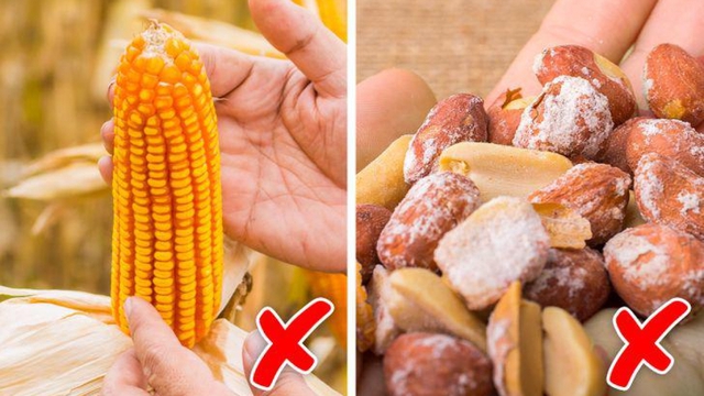 5 kiểu ăn uống &acirc;m thầm nu&ocirc;i ung thư dạ d&agrave;y, nhiều người vẫn lặp lại mỗi ng&agrave;y - Ảnh 3.