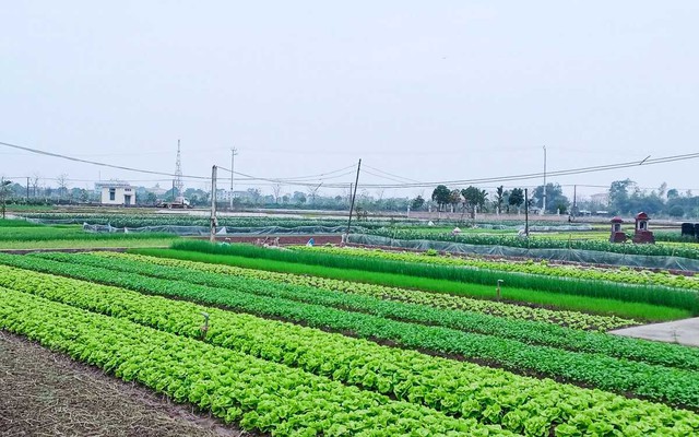 Những trường hợp n&agrave;y sẽ kh&ocirc;ng được cấp sổ đỏ trong năm 2026 - Ảnh 2.