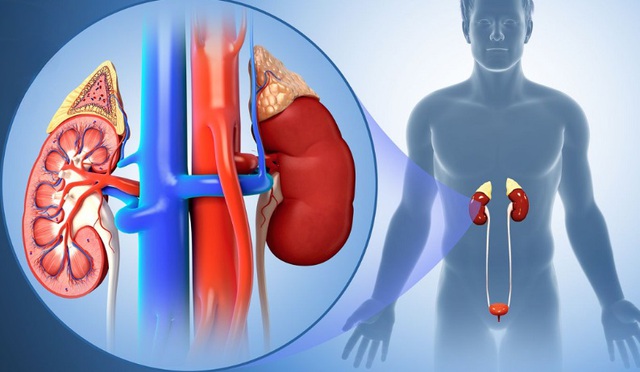 Dinh dưỡng cho người bệnh suy thận: Ăn đ&uacute;ng c&aacute;ch gi&uacute;p l&agrave;m chậm tiến triển bệnh - Ảnh 1.