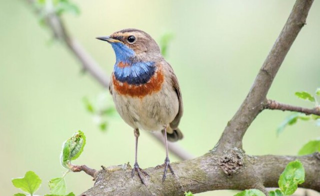 Số cuối ng&agrave;y sinh &Acirc;m lịch mang mệnh 'h&uacute;t tiền': Thần T&agrave;i theo s&aacute;t, sự nghiệp vững v&agrave;ng - Ảnh 1.