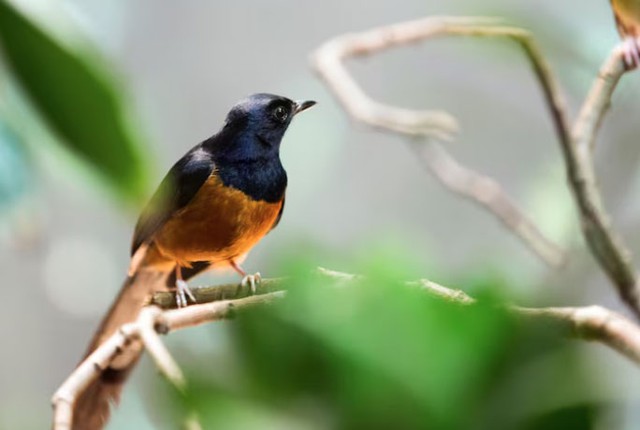 Số cuối ng&agrave;y sinh &Acirc;m lịch mang mệnh 'h&uacute;t tiền': Thần T&agrave;i theo s&aacute;t, sự nghiệp vững v&agrave;ng - Ảnh 2.