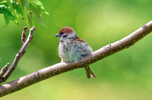 Số cuối ng&agrave;y sinh &Acirc;m lịch mang mệnh 'h&uacute;t tiền': Thần T&agrave;i theo s&aacute;t, sự nghiệp vững v&agrave;ng - Ảnh 3.