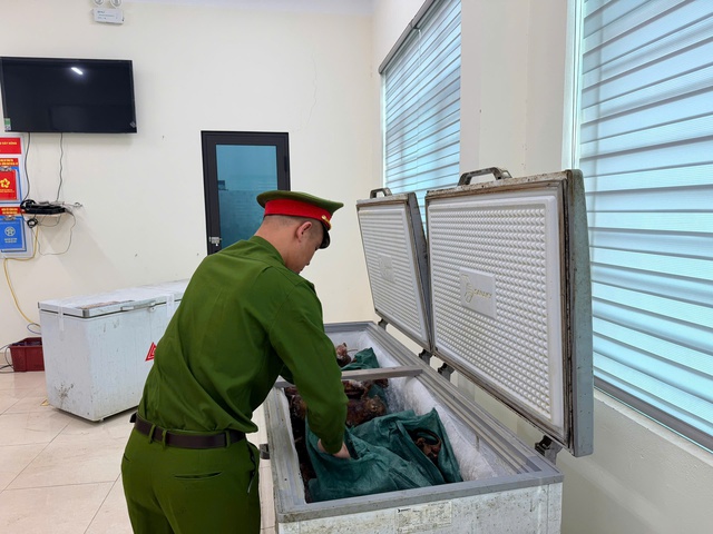 Triệt ph&aacute; nh&oacute;m trộm m&egrave;o tại H&agrave; Nội: H&agrave;nh vi phạm ph&aacute;p g&acirc;y bức x&uacute;c trong dư luận - Ảnh 2.