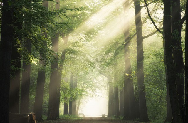 Số cuối ngày sinh Âm lịch của người hay giúp đỡ người khác: Càng chân thành càng nhiều lộc - Ảnh 1. Số cuối ngày sinh Âm lịch của người hay giúp đỡ người khác: Càng chân thành càng nhiều lộc - Ảnh 1.