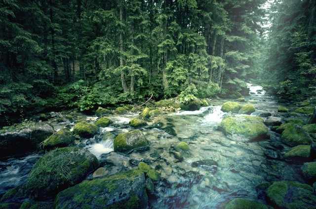 Số cuối ngày sinh Âm lịch của người hay giúp đỡ người khác: Càng chân thành càng nhiều lộc - Ảnh 3. Số cuối ngày sinh Âm lịch của người hay giúp đỡ người khác: Càng chân thành càng nhiều lộc - Ảnh 3.