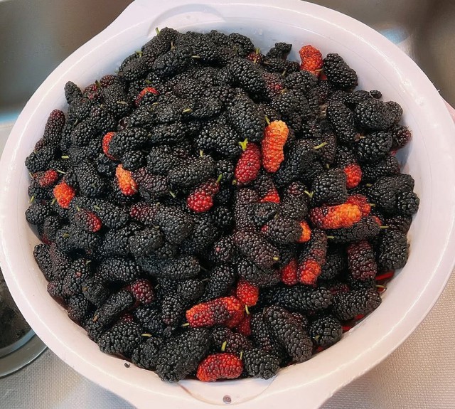 C&aacute;ch ng&acirc;m d&acirc;u tằm l&acirc;u kh&ocirc;ng mốc hỏng v&agrave; l&ecirc;n men cho M&ugrave;a h&egrave; 2026 - Ảnh 3.