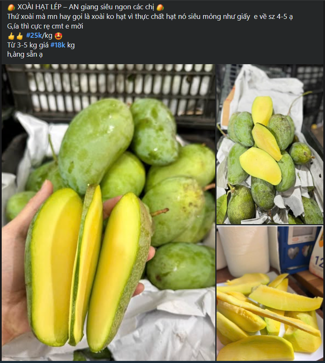 Tiểu thương bật m&iacute; nguồn gốc của một loại xo&agrave;i gi&aacute; rẻ, hạt mỏng d&iacute;nh đang b&aacute;n đầy chợ Việt - Ảnh 1.