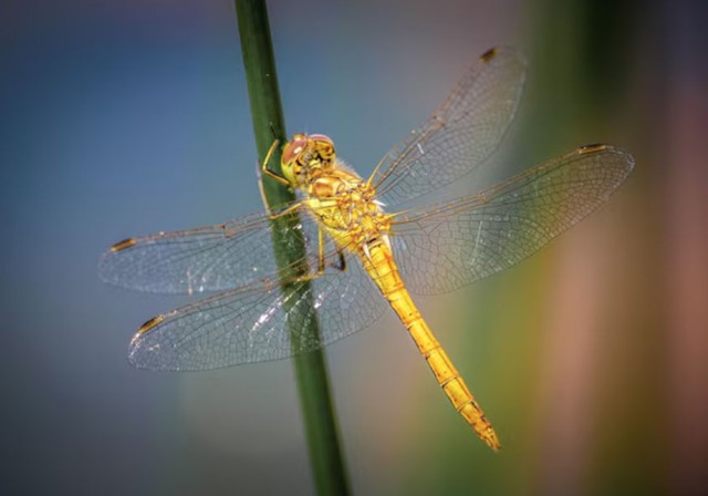 4 số cuối ng&agrave;y sinh &Acirc;m lịch của người kh&eacute;o vun v&eacute;n, gia đ&igrave;nh lu&ocirc;n thuận h&ograve;a - Ảnh 3.