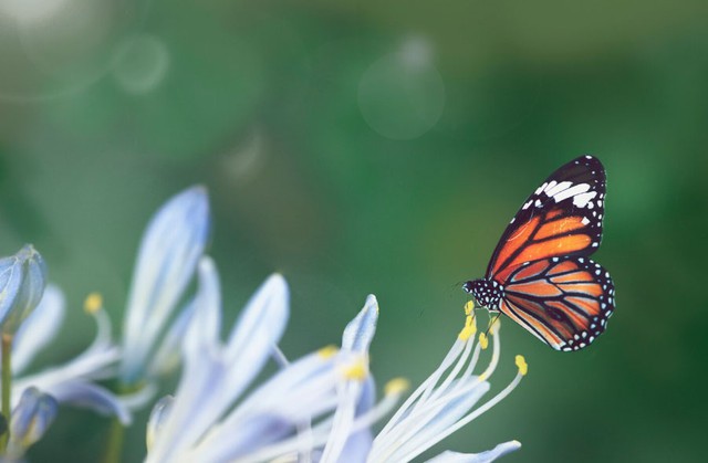 5 ng&agrave;y sinh &Acirc;m lịch định sẵn 'v&agrave;ng son': C&agrave;ng về gi&agrave; c&agrave;ng hưởng ph&uacute;c lớn - Ảnh 2.