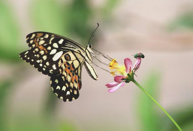 5 ng&agrave;y sinh &Acirc;m lịch định sẵn 'v&agrave;ng son': C&agrave;ng về gi&agrave; c&agrave;ng hưởng ph&uacute;c lớn - Ảnh 3.