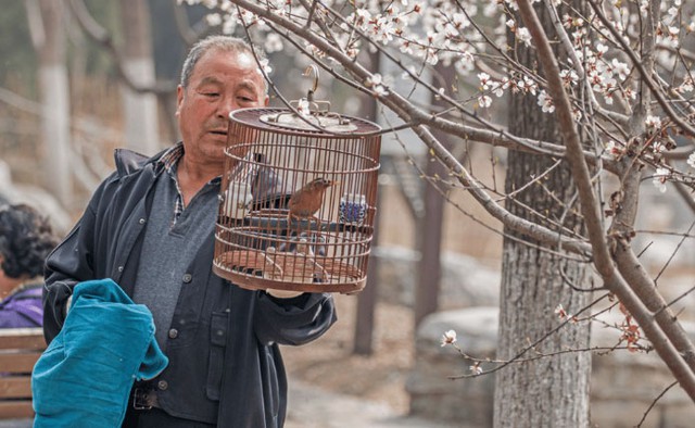 C&atilde;i v&atilde; với con d&acirc;u, t&ocirc;i t&igrave;m ra c&aacute;ch sống để tuổi gi&agrave; an y&ecirc;n, dễ thở hơn - Ảnh 1.