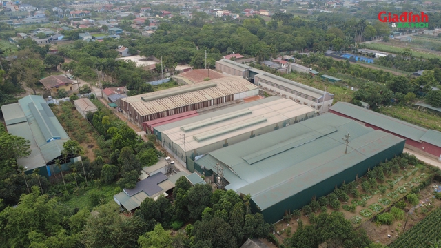 Chủ tịch UBND TP H&agrave; Nội y&ecirc;u cầu xử l&yacute; nghi&ecirc;m vi phạm tại nh&agrave; xưởng Quốc Oai - Ảnh 2.