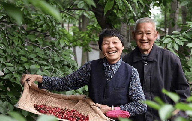 10 năm gửi tiền về qu&ecirc; b&aacute;o hiếu cha mẹ, t&ocirc;i sốc nặng khi thấy t&agrave;i khoản chỉ c&ograve;n 0 đồng - Ảnh 1.