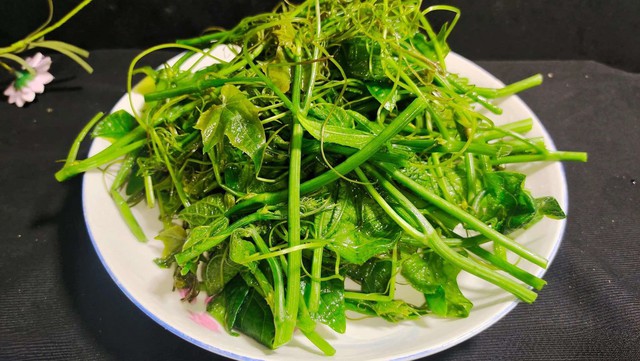 Ngọn su su - lọai rau vua kẽm cho người bị gút ăn thỏai mái - Ảnh 2. Ngọn su su - lọai rau vua kẽm cho người bị gút ăn thỏai mái - Ảnh 2.