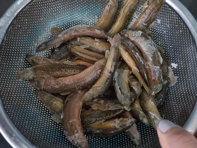 C&aacute; chạch &ndash; m&oacute;n ăn bổ dưỡng cho nam giới trung ni&ecirc;n tại chợ Việt - Ảnh 3.
